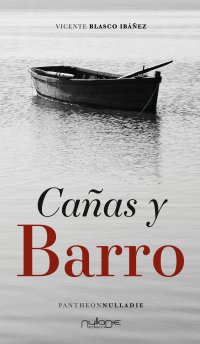 Immagine copertina libro Cañas y barro