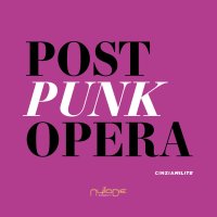 Immagine copertina libro Post punk opera