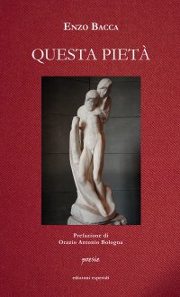 Immagine copertina libro Questa pietà. Poesie