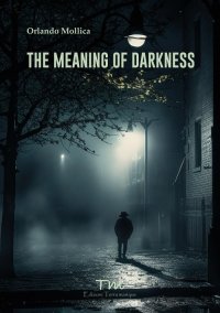 Immagine copertina libro The meaning of darkness