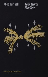 Immagine copertina libro Cleo Fariselli. Your storm our dew. Ediz. multilingue