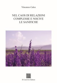 Immagine copertina libro Nel caos di relazioni complesse le sanifiche