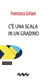 Immagine copertina libro C'è una scala in un gradino