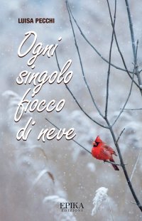Immagine copertina libro Ogni singolo fiocco di neve