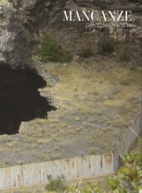 Immagine copertina libro Mancanze