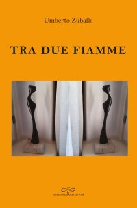 Immagine copertina libro Tra due fiamme