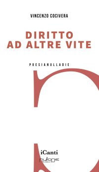 Immagine copertina libro Diritto ad altre vite