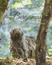 Immagine copertina libro The bergamasco. From the Italian Alps to the family home