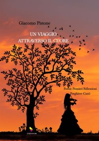 Immagine copertina libro Un viaggio attraverso il cuore