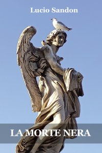 Immagine copertina libro La morte nera