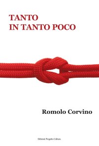 Immagine copertina libro Tanto in tanto poco