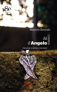 Immagine copertina libro Ali d'angelo