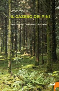 Immagine copertina libro Il gazebo dei pini