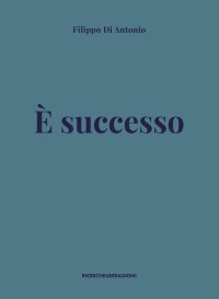 Immagine copertina libro È successo
