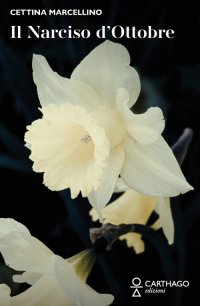 Immagine copertina libro Il narciso d'ottobre