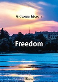 Immagine copertina libro Freedom