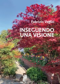 Immagine copertina libro Inseguendo una visione