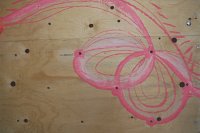 Immagine copertina libro Flamingo Loophole. Ediz. italiana