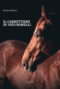 Immagine copertina libro Il carrettiere di Vico Bonelli