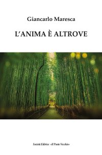 Immagine copertina libro L'anima è altrove