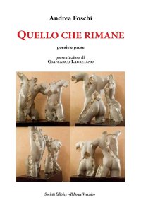 Immagine copertina libro Quello che rimane