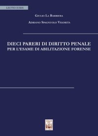 Immagine copertina libro Dieci pareri di diritto penale per l'esame di abilitazione forense