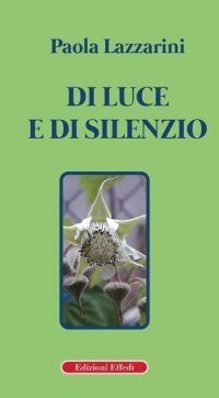 Immagine copertina libro Di luce e di silenzio