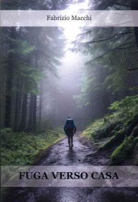 Immagine copertina libro Fuga verso casa