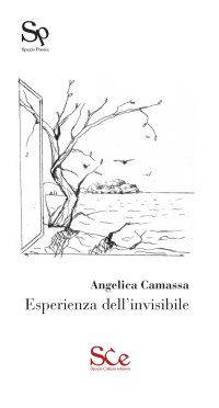 Immagine copertina libro Esperienza dell'invisibile