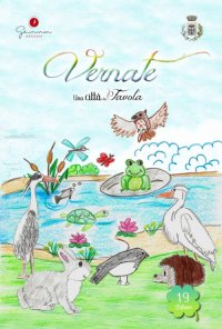 Immagine copertina libro Una città da favola. Vol. 19: Vernate