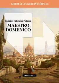 Immagine copertina libro Maestro Domenico