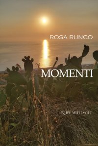 Immagine copertina libro Momenti