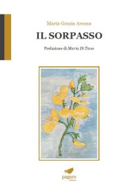 Immagine copertina libro Il sorpasso