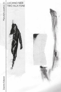 Immagine copertina libro Tiro alla fune