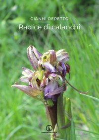 Immagine copertina libro Radice di calanchi