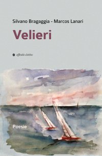 Immagine copertina libro Velieri