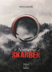 Immagine copertina libro Il notturno di Skarbek