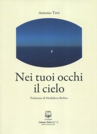 Immagine copertina libro Nei tuoi occhi il cielo