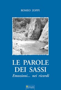 Immagine copertina libro Le parole dei sassi