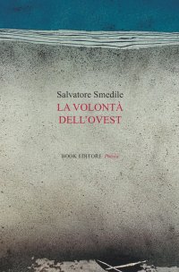 Immagine copertina libro La volontà dell'ovest