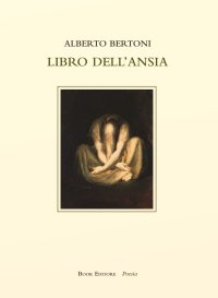 Immagine copertina libro Libro dell'ansia