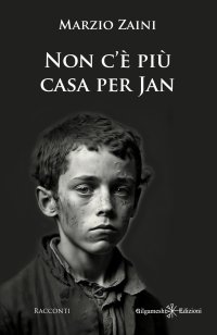 Immagine copertina libro Non c'è più casa per Jan e altri racconti