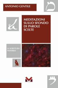 Immagine copertina libro Meditazioni sullo sfondo di parole scelte