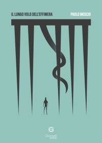 Immagine copertina libro Il lungo volo dell'effimera