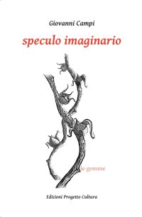 Immagine copertina libro Speculo imaginario