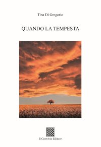 Immagine copertina libro Quando la tempesta