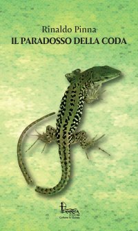 Immagine copertina libro Il paradosso della coda
