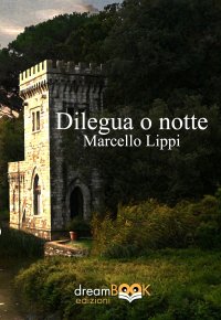 Immagine copertina libro Dilegua o notte