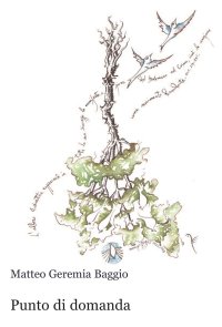 Immagine copertina libro Punto di domanda