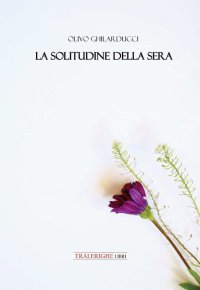 Immagine copertina libro La solitudine della sera